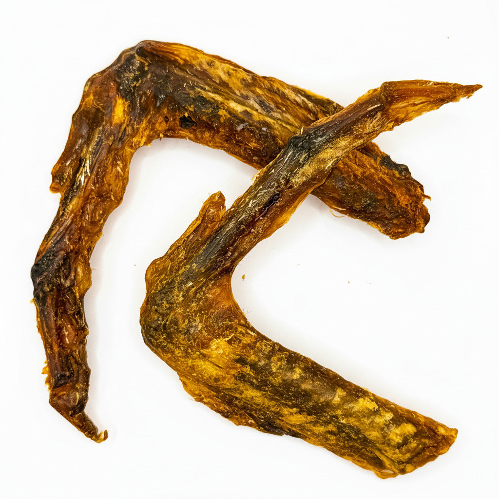 ganze Entenflügel (Duck Wings)