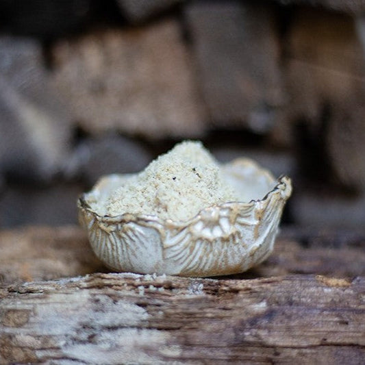 Hirschhornmehl von Paul & Paulina