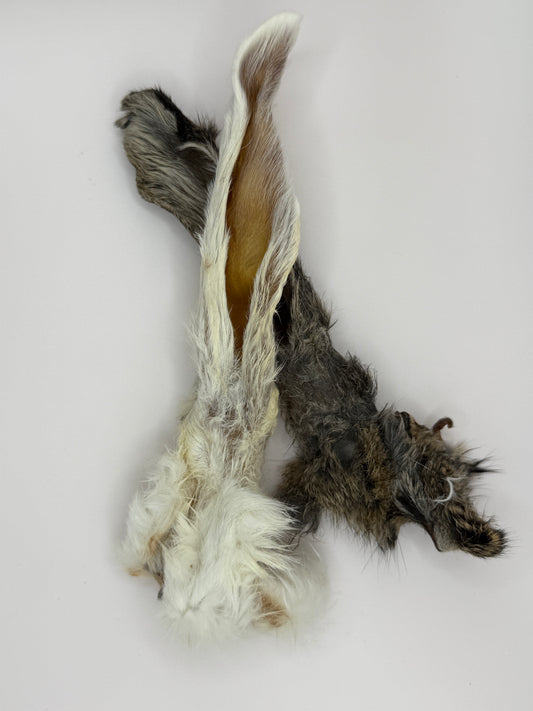 Kaninchenohren mit Fell