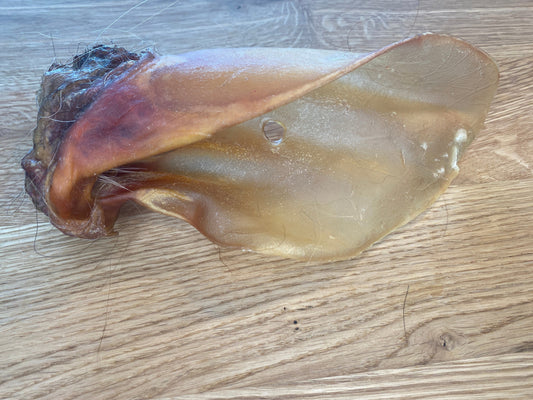 Rinderohren mit Muschel