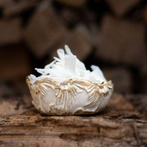 Kokosflocken von Paul & Paulina