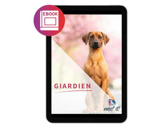 Giardien eBook