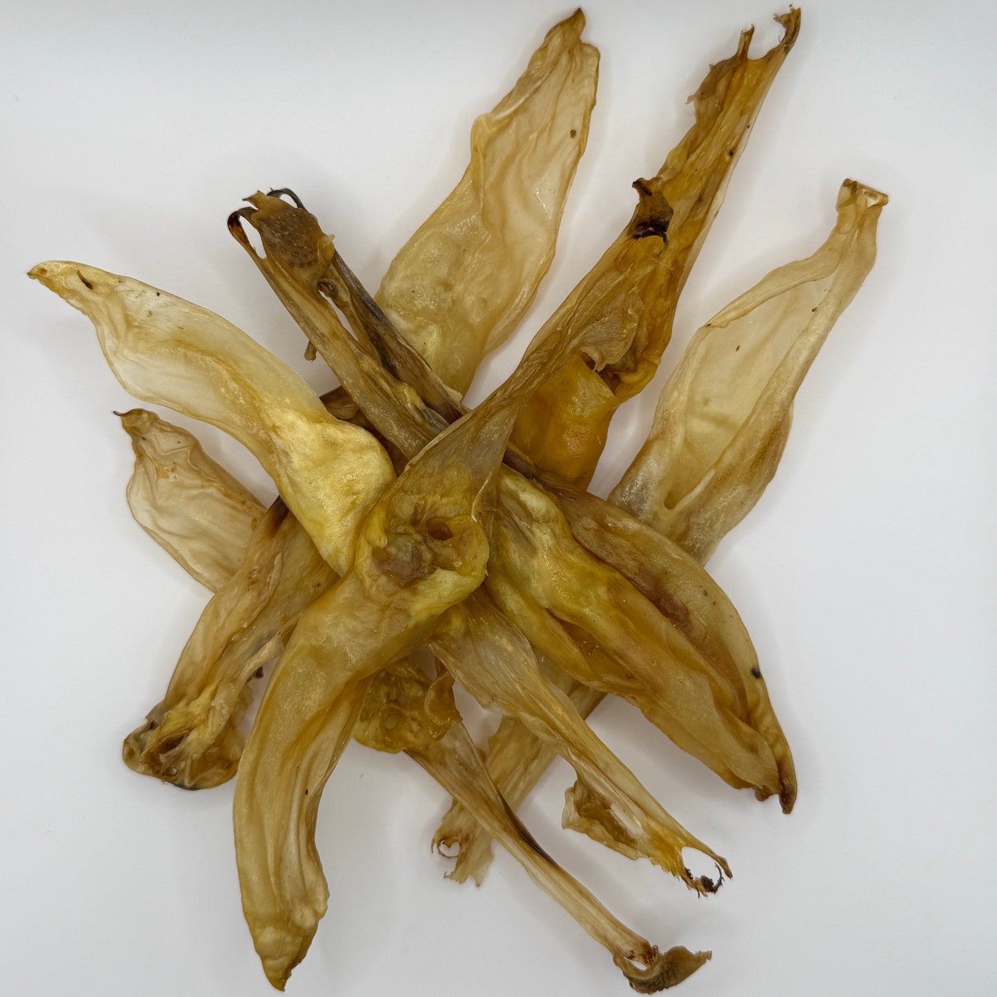 Kaninchenohren ohne Fell