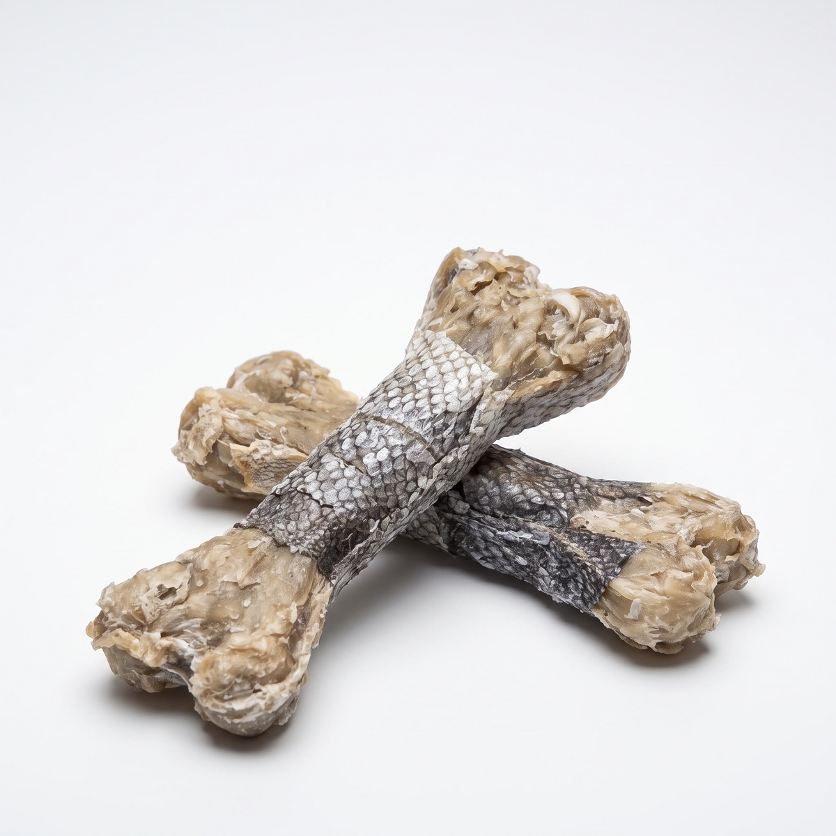 Dorsch-Kauknochen aus hellem Knochenmaterial mit grauer, schuppiger Oberfläche