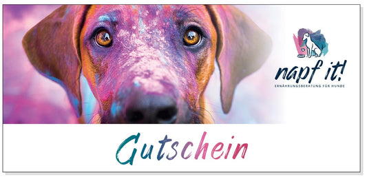 Geschenkgutschein Postversand
