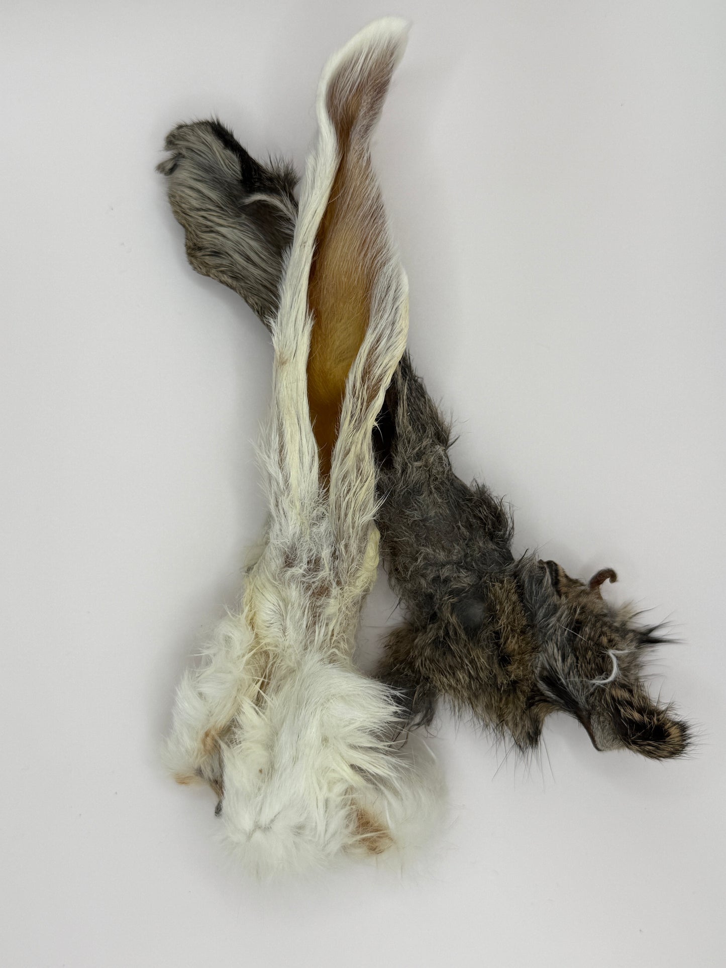 Kaninchenohren mit Fell