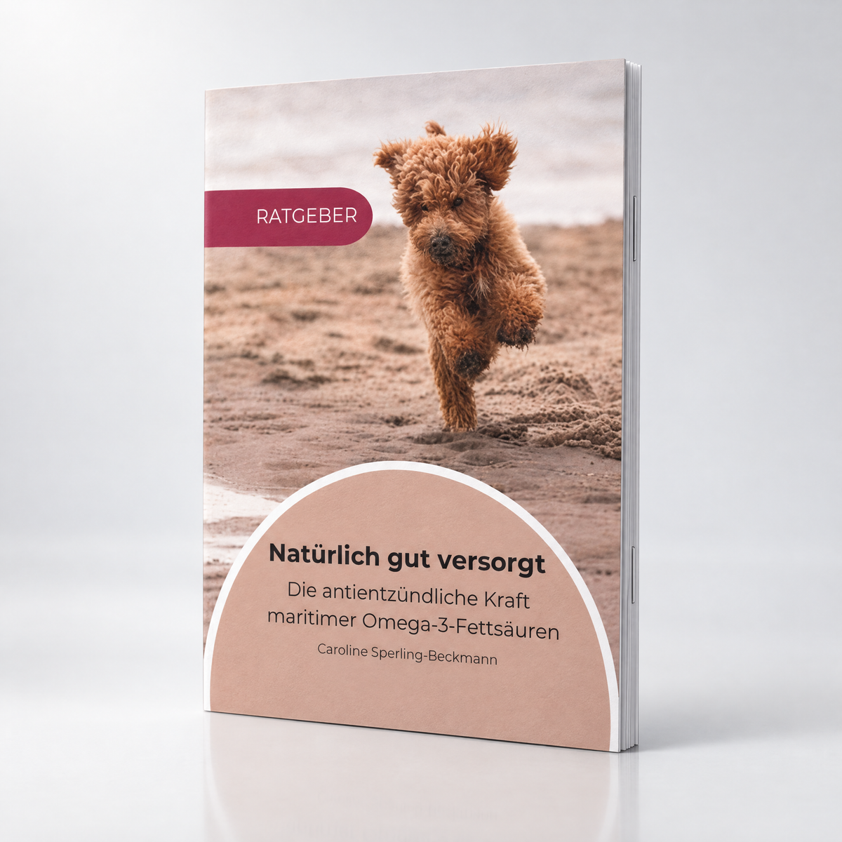 Ratgeber-Booklet: Cover „Natürlich gut versorgt“ mit Hundmotiv und Omega‑3-Text.