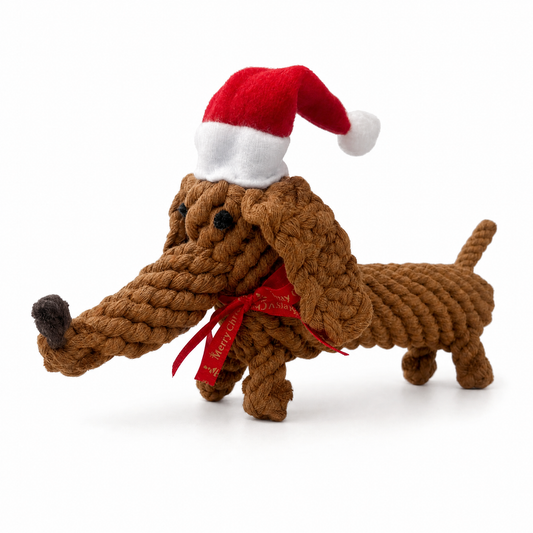 Brauner Plüschdackel mit roter Weihnachtsmütze und rotem Schleifenband am Hals