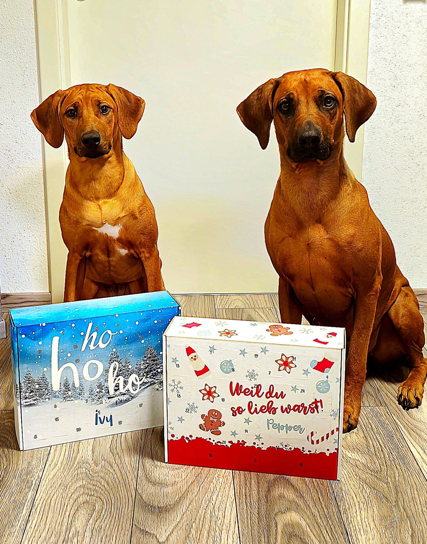 Adventskalender