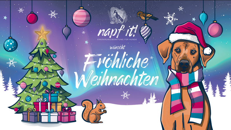 Adventskalender für Hunde mit getreidefreien Fleischsnacks