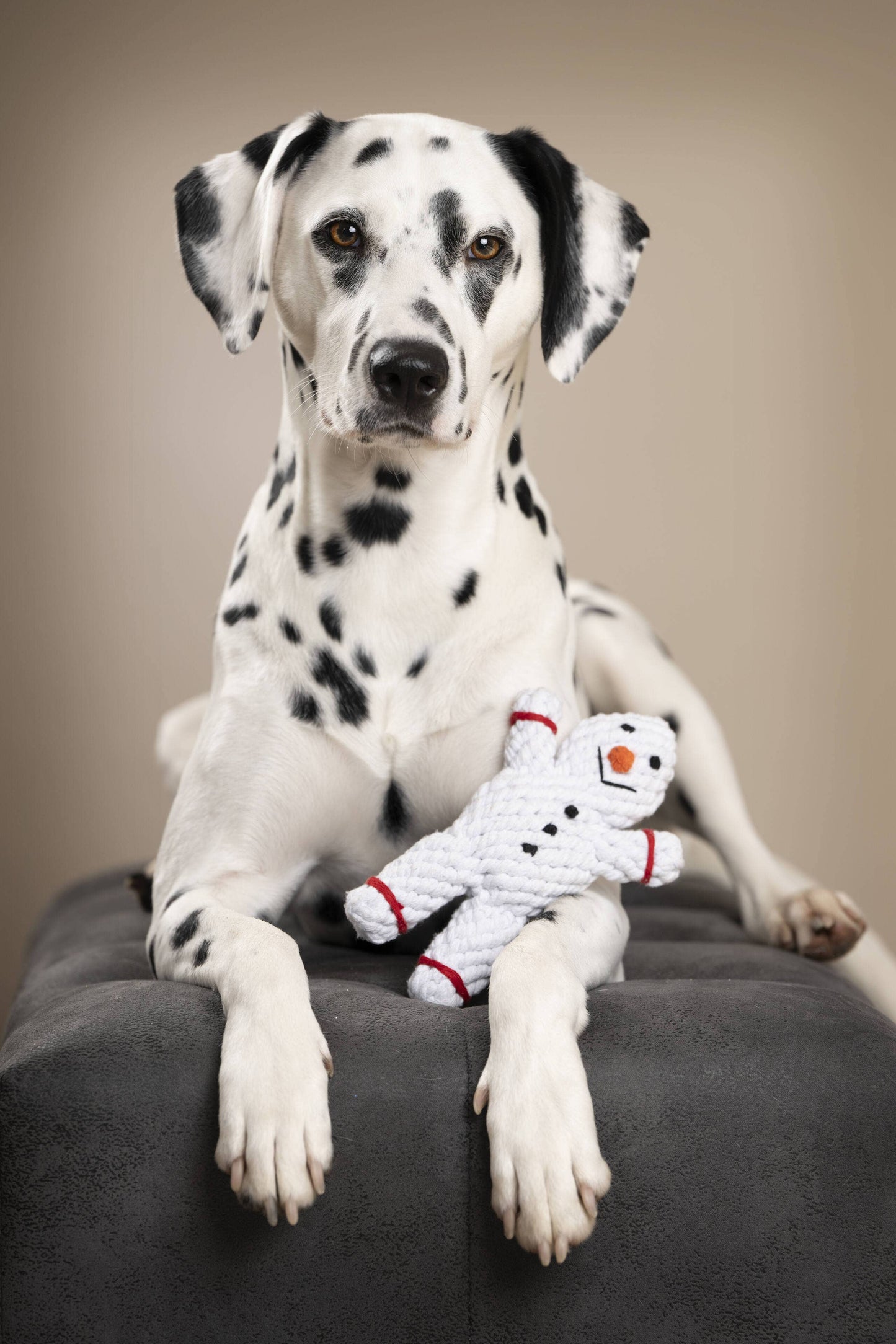 Shawn der Schneemann