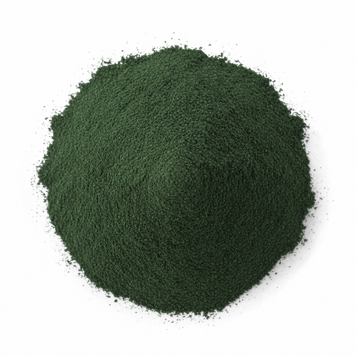 Spirulina-Pulver, tiefgrünes feines Pulver in runder Portion